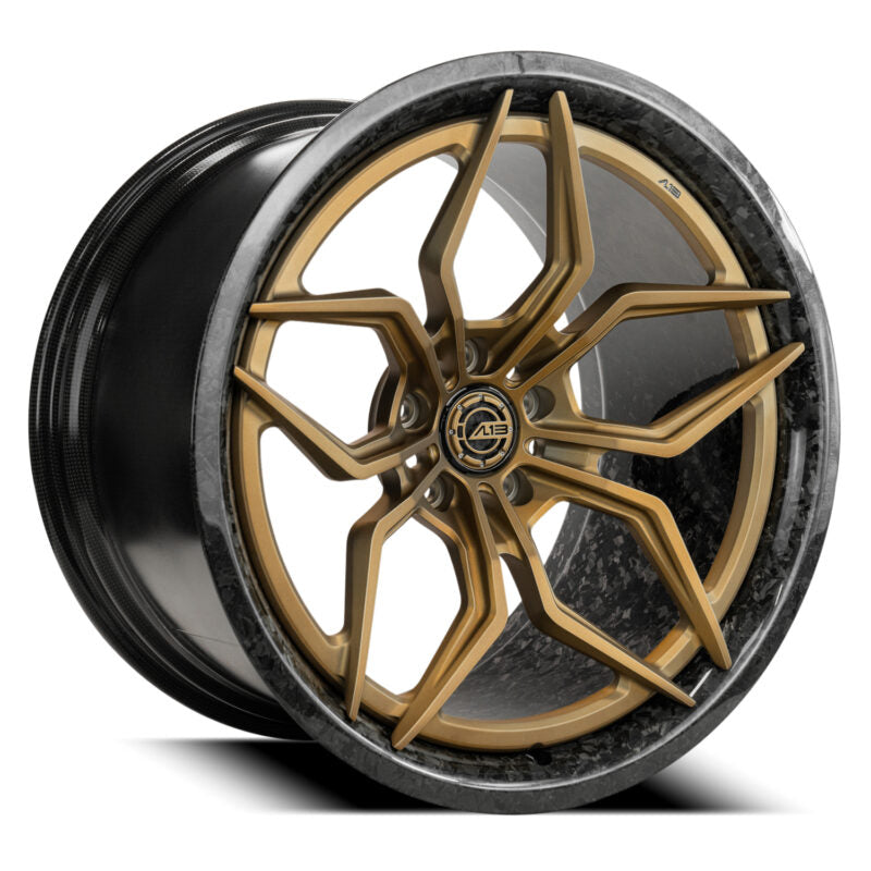 AL13 CF-R70 CARBON SERIES - Wheel Designers