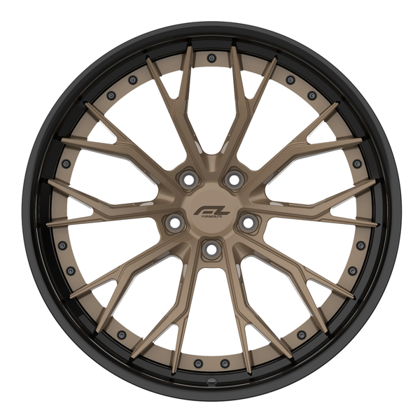 FORGEDLITE DC11 2PC 20X9 21X12 w/ MICHELIN PILOT SPORTS 4S FULL PACKAGE - Wheel Designers