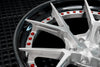 19" FORGEDLITE DC5 2PC MODULAR WHEELS - Wheel Designers