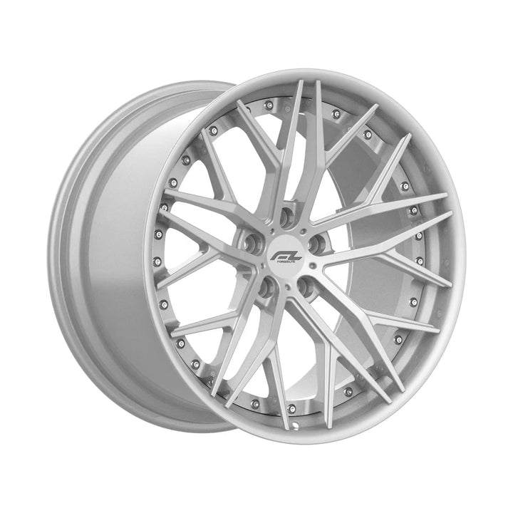 20" FORGEDLITE DC10 2PC MODULAR WHEELS